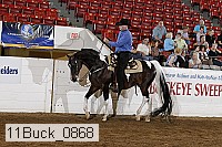 11buck_0868 proof