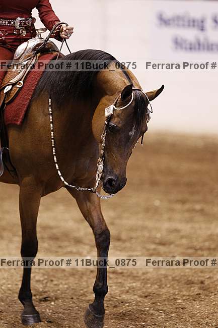 Proof 11buck_0875