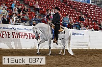 11buck_0877 proof