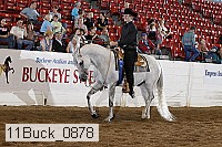 11buck_0878 proof