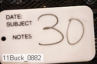 11buck_0882 proof