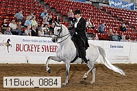 11buck_0884 proof