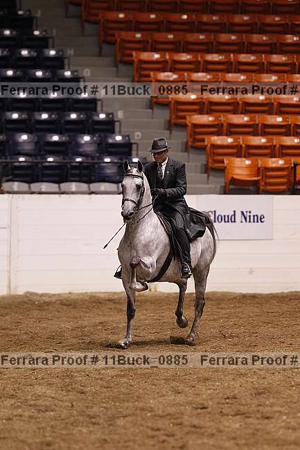 Proof 11buck_0885