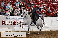 11buck_0887 proof