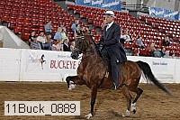 11buck_0889 proof