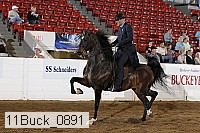 11buck_0891 proof
