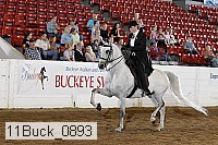 11buck_0893 proof