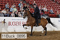 11buck_0895 proof