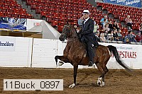 11buck_0897 proof