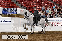 11buck_0899 proof