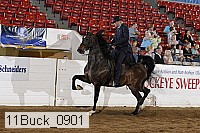 11buck_0901 proof