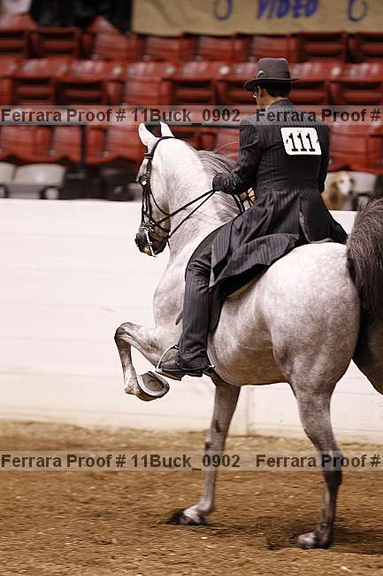 Proof 11buck_0902