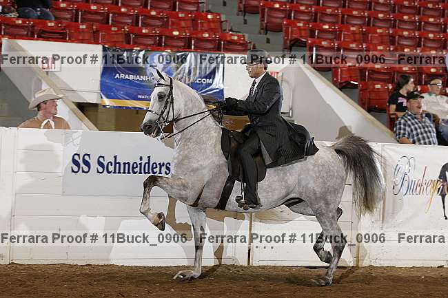 Proof 11buck_0906