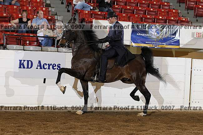 Proof 11buck_0907