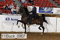 11buck_0907 proof