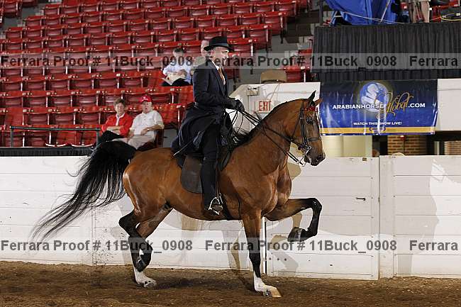 Proof 11buck_0908