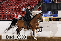 11buck_0908 proof