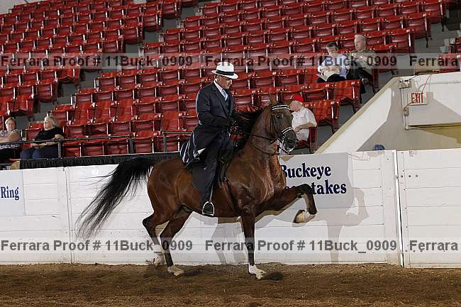 Proof 11buck_0909