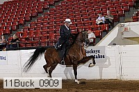 11buck_0909 proof