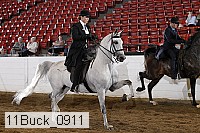 11buck_0911 proof