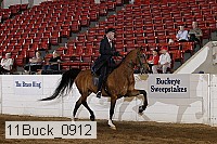 11buck_0912 proof