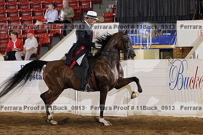 Proof 11buck_0913
