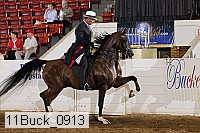 11buck_0913 proof