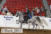 11buck_0917 proof