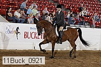 11buck_0921 proof