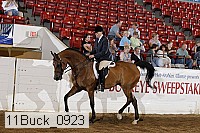 11buck_0923 proof