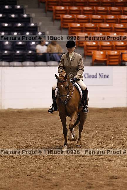 Proof 11buck_0926