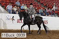 11buck_0939 proof