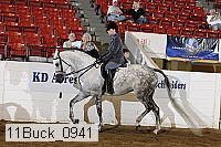 11buck_0941 proof