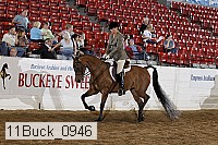 11buck_0946 proof