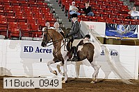 11buck_0949 proof