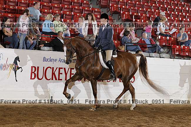 Proof 11buck_0951