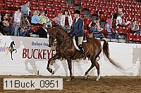 11buck_0951 proof