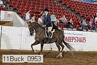 11buck_0953 proof