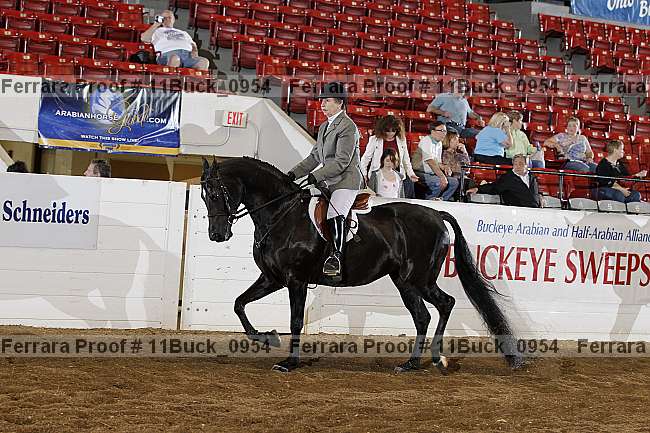 Proof 11buck_0954