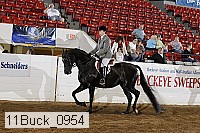 11buck_0954 proof