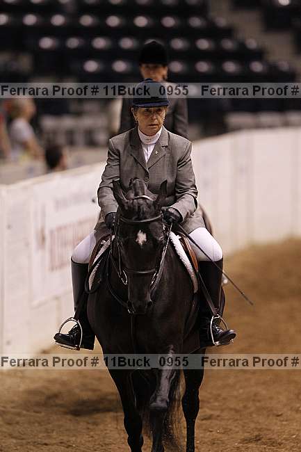 Proof 11buck_0955
