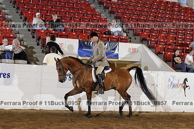Proof 11buck_0957