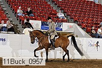 11buck_0957 proof