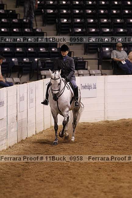 Proof 11buck_0958