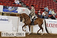 11buck_0961 proof