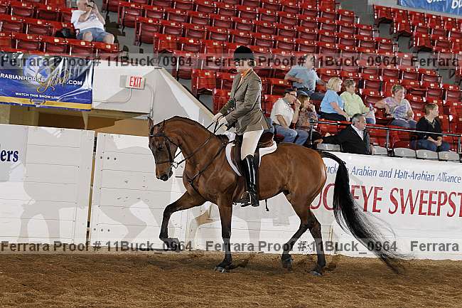 Proof 11buck_0964