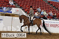 11buck_0964 proof