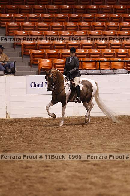 Proof 11buck_0965