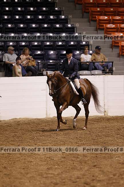 Proof 11buck_0966