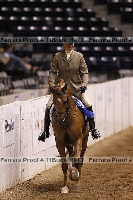 Proof 11buck_0973